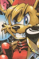 Dingos